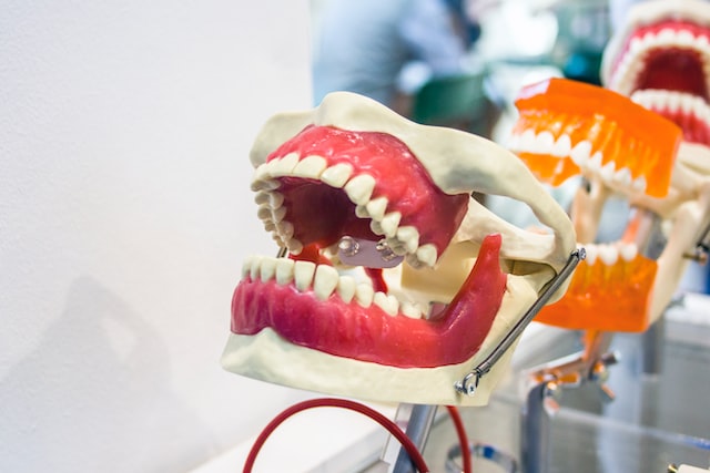 Dental Technology Through the Ages: Explained