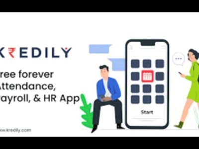 Kredily: Best Payroll Software for Business