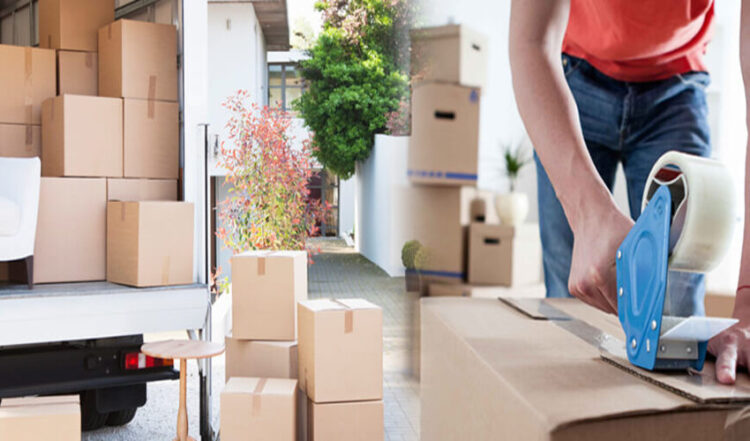 Movers and Packers Services