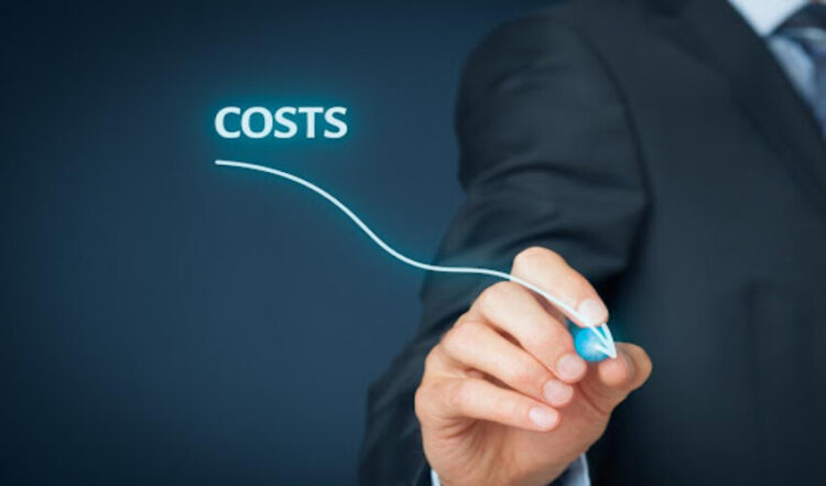 Web Hosting Plan Renewal Cost