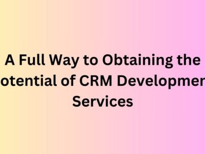 A Full Way to Obtaining the Potential of CRM Development Services