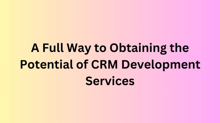 A Full Way to Obtaining the Potential of CRM Development Services