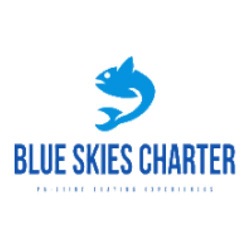 blueskies charter