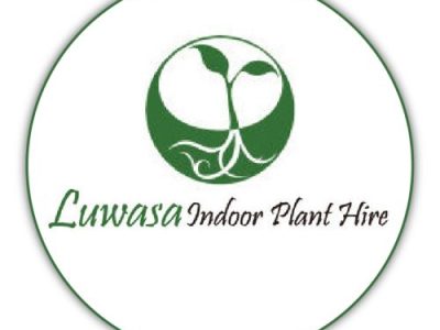 Luwasa Indoor Plant Hire