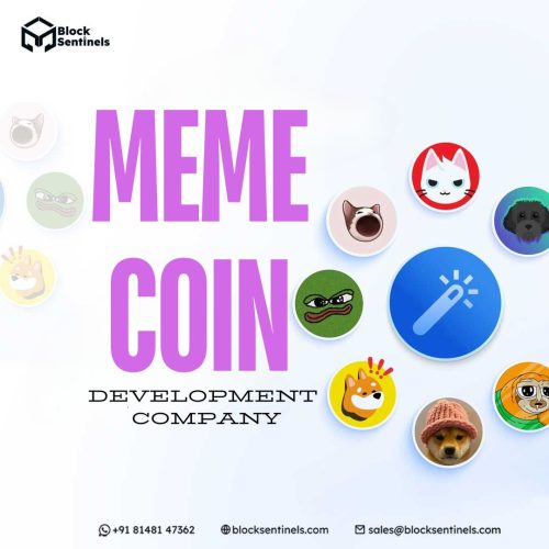 Meme coin development company