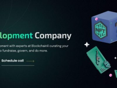 BlockchainX - Token Development Services